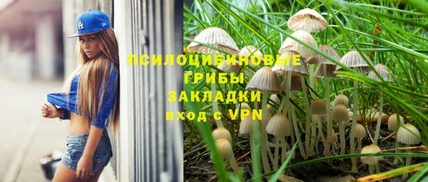 прущий лед Майский