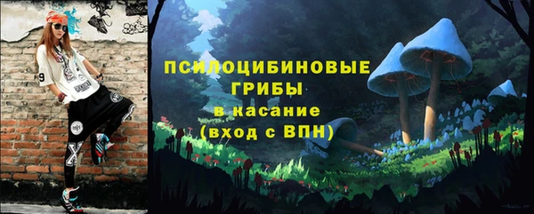 первитин Лиски